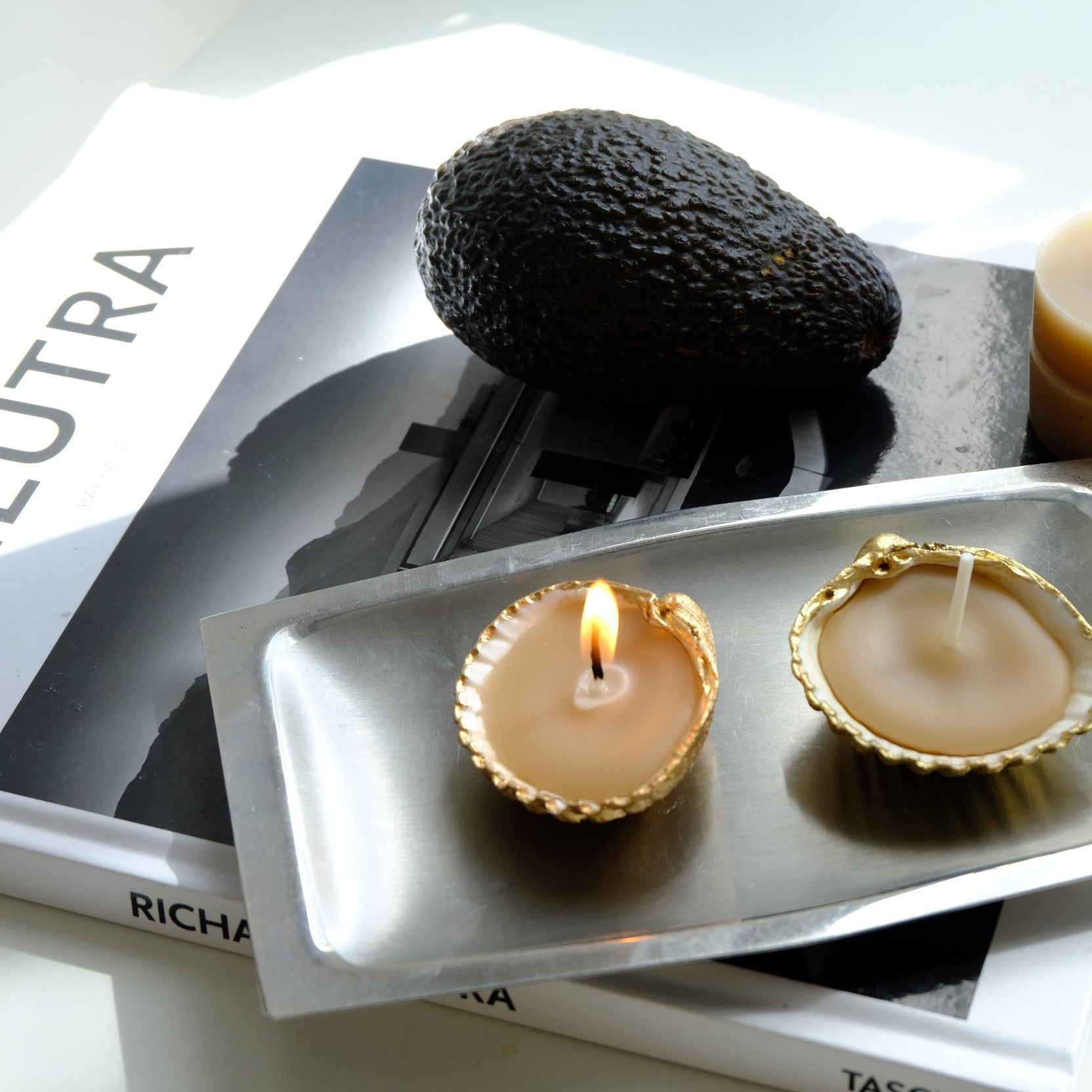 Sea Shell Candle Trio – Handcrafted Beeswax Candles with Natural Avocado Dye & Gold Detailing
