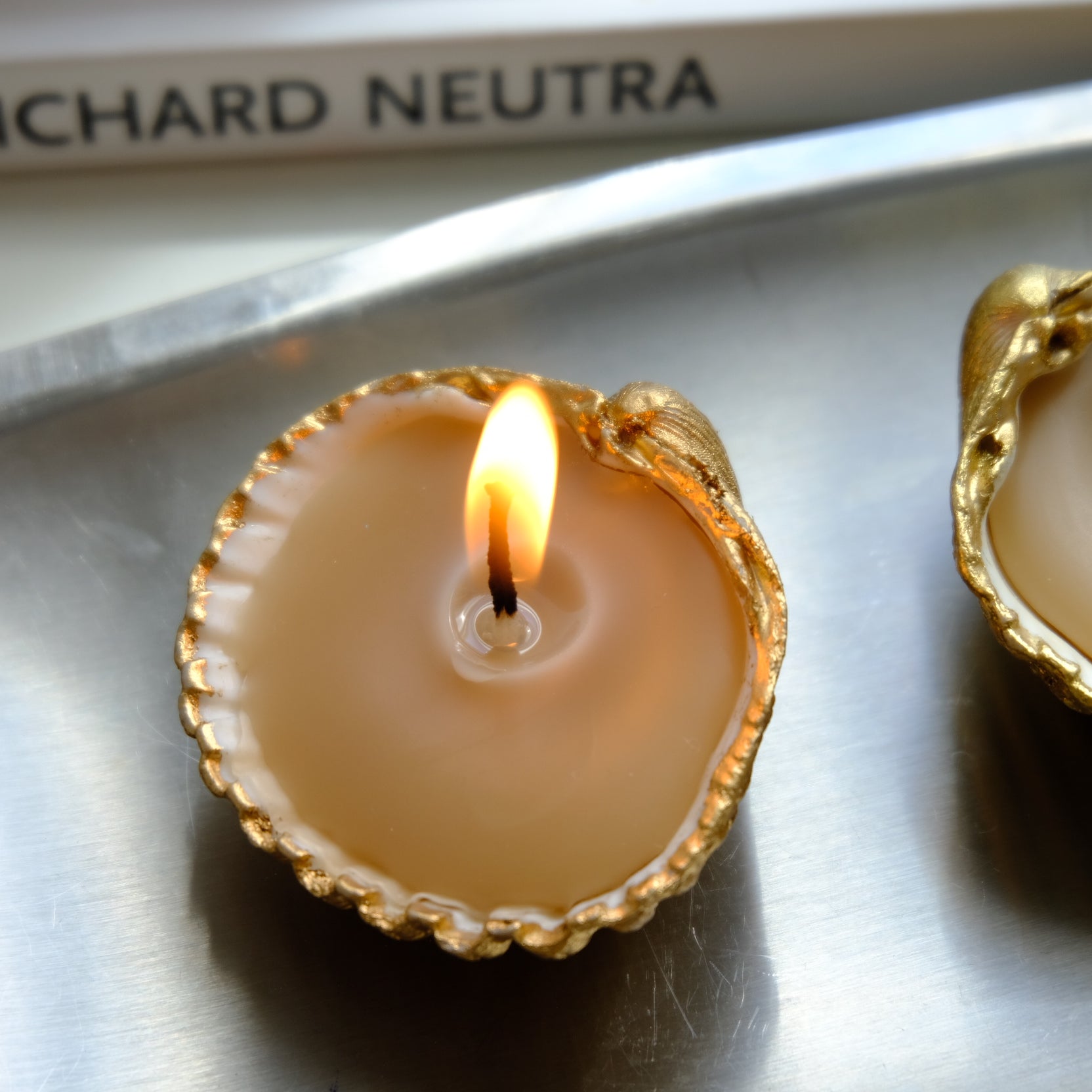 Sea Shell Candle Trio – Handcrafted Beeswax Candles with Natural Avocado Dye & Gold Detailing